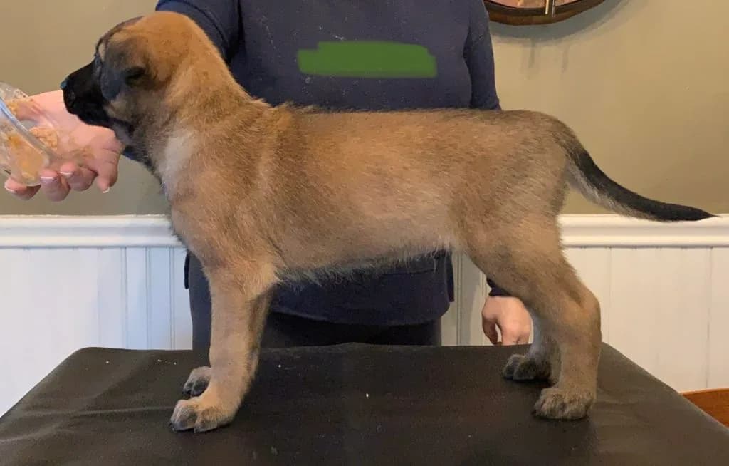 “B” Litter photo 118
