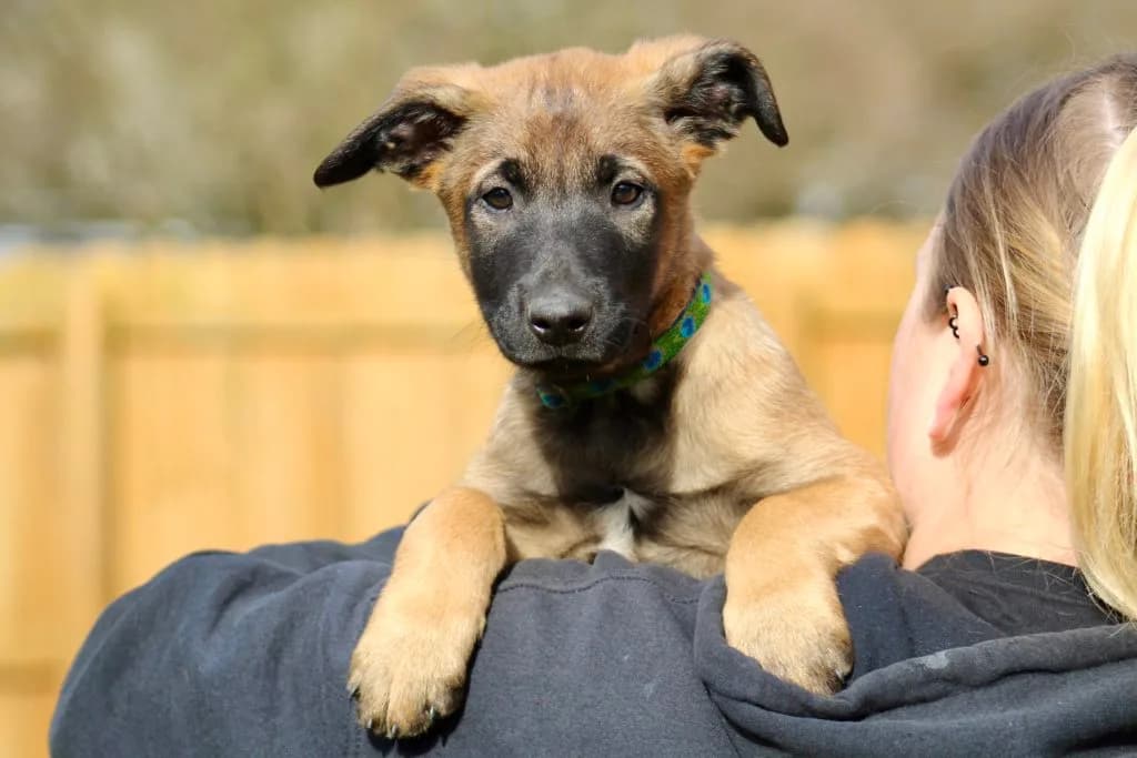 “B” Litter photo 232