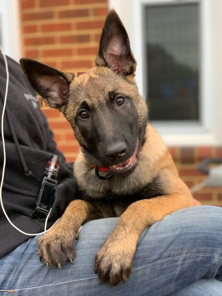 “B” Litter photo 379