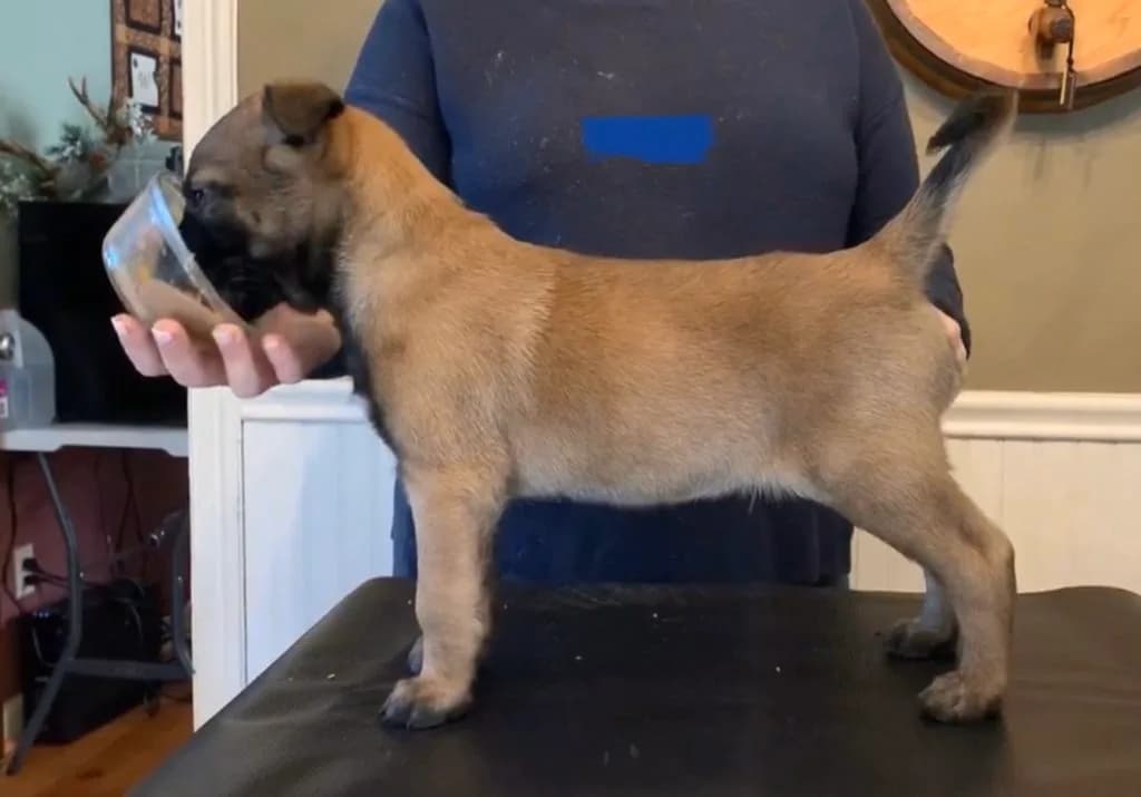 “B” Litter photo 125