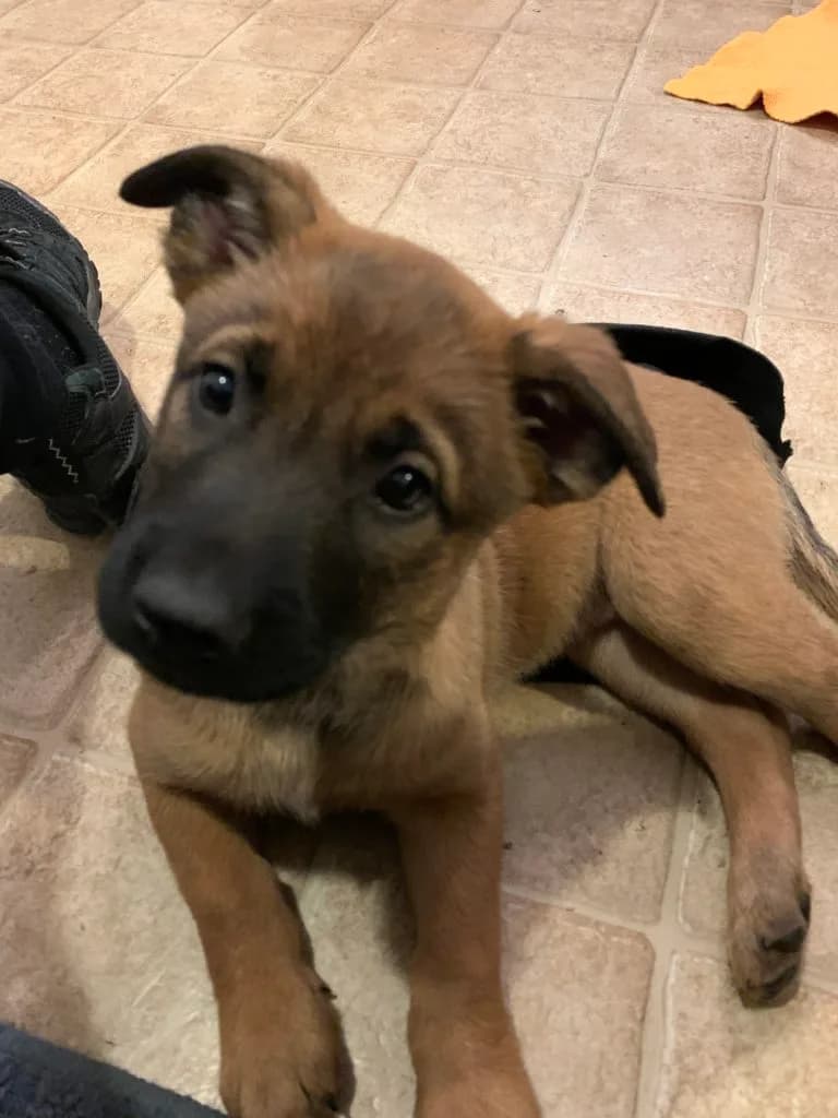 “B” Litter photo 169