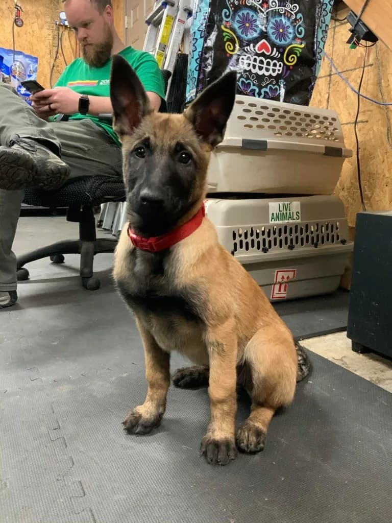 “B” Litter photo 310