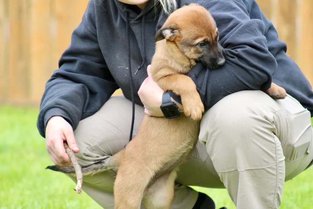 “B” Litter photo 222