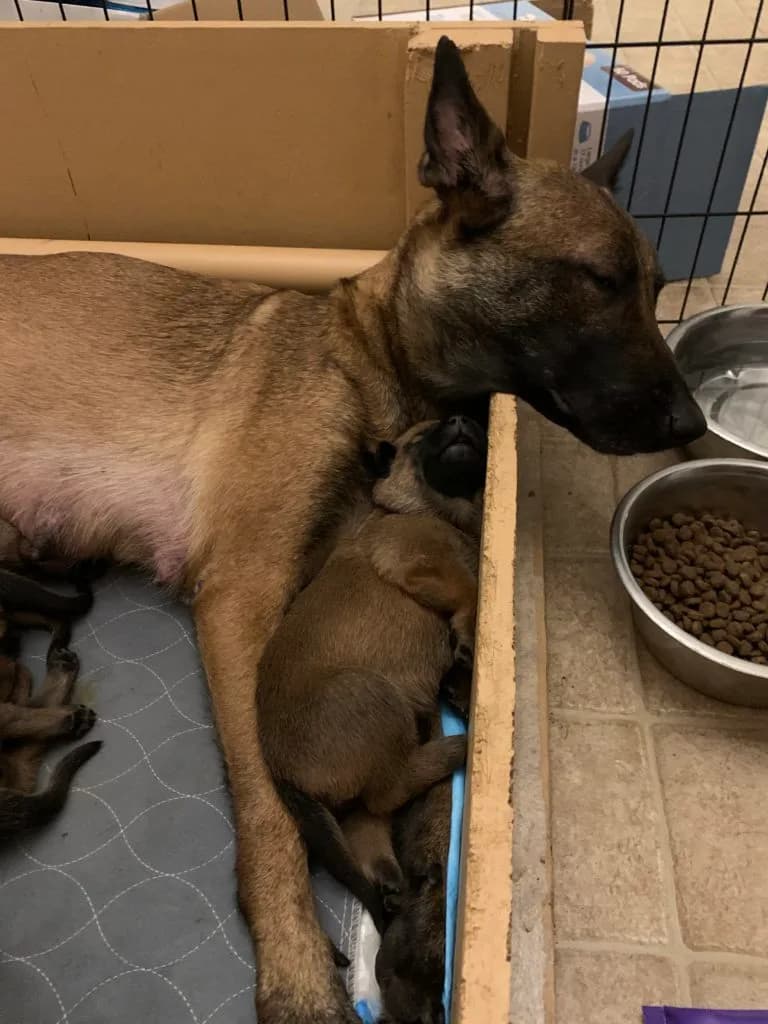 “B” Litter photo 21