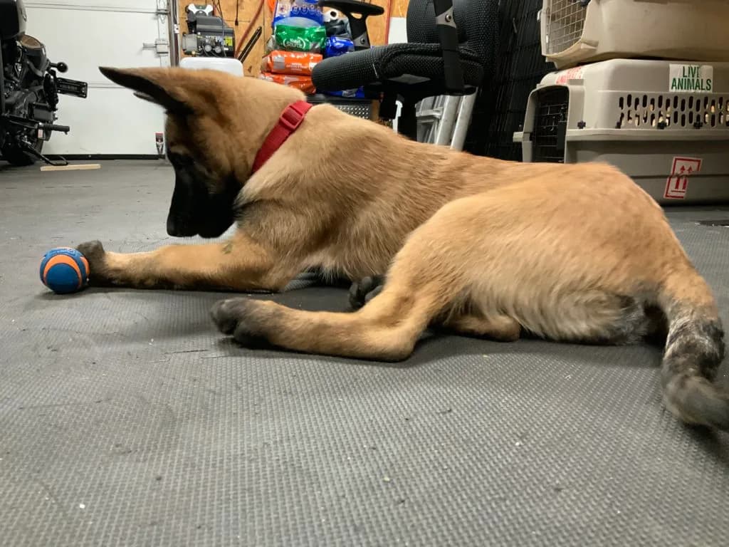 “B” Litter photo 297