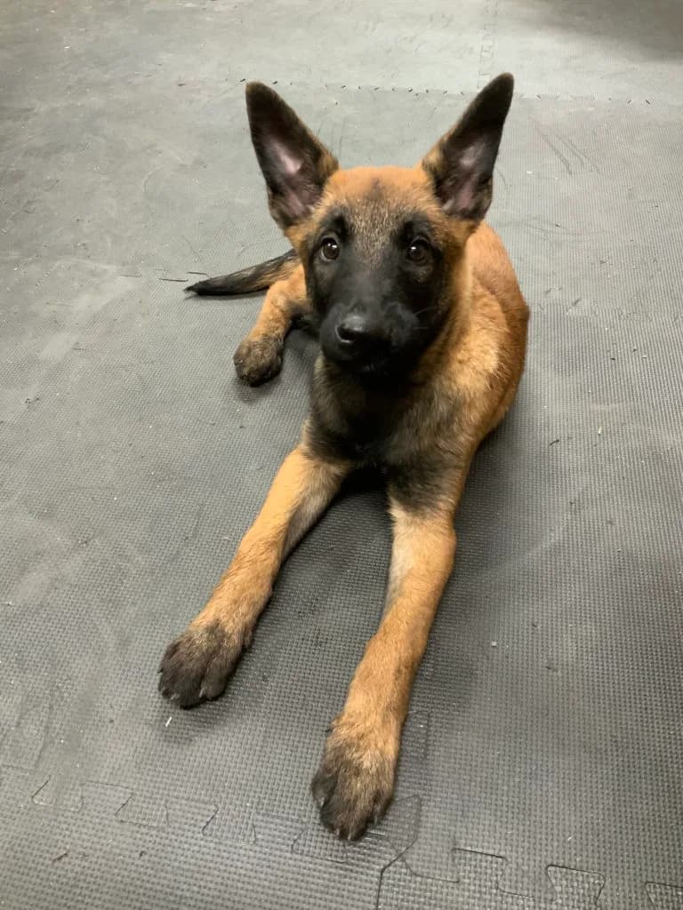 “B” Litter photo 304