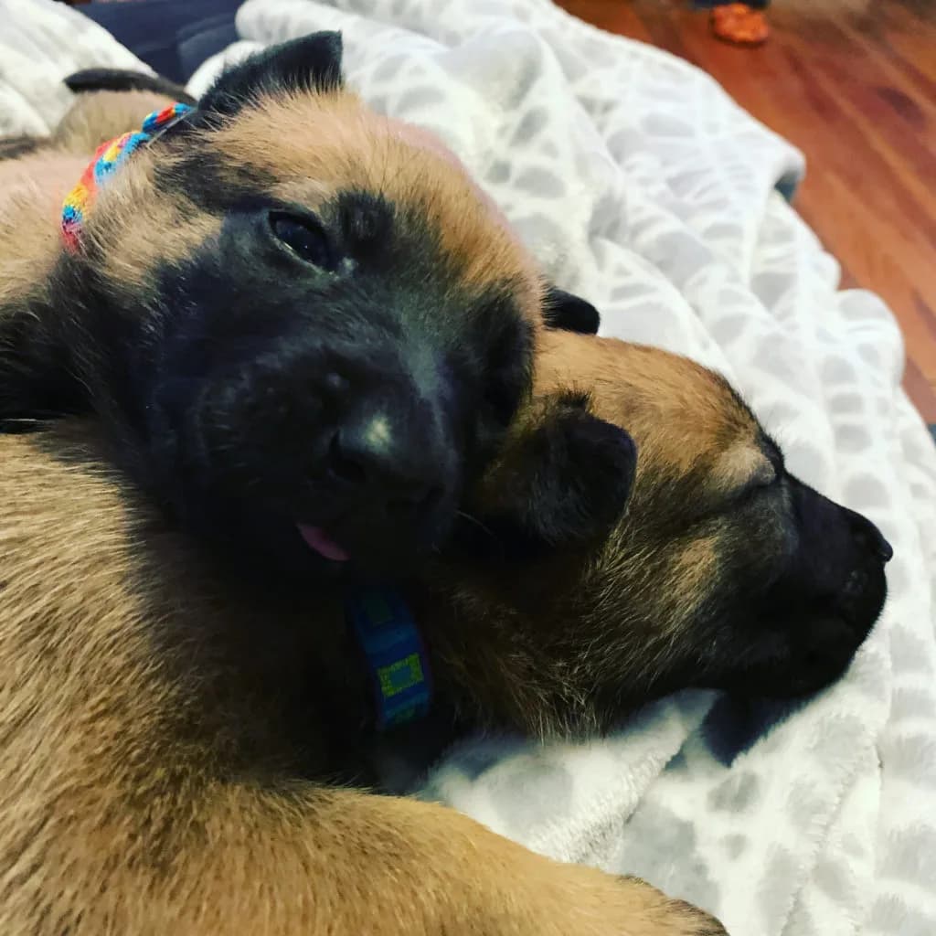 “B” Litter photo 83
