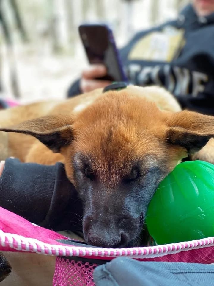 “B” Litter photo 292