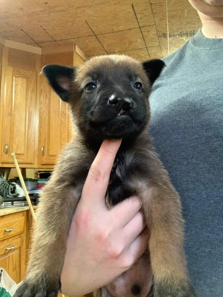 “B” Litter photo 103