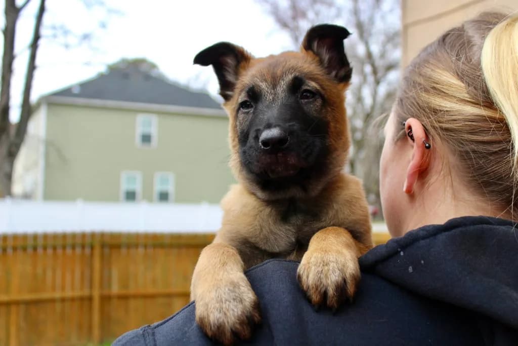 “B” Litter photo 189