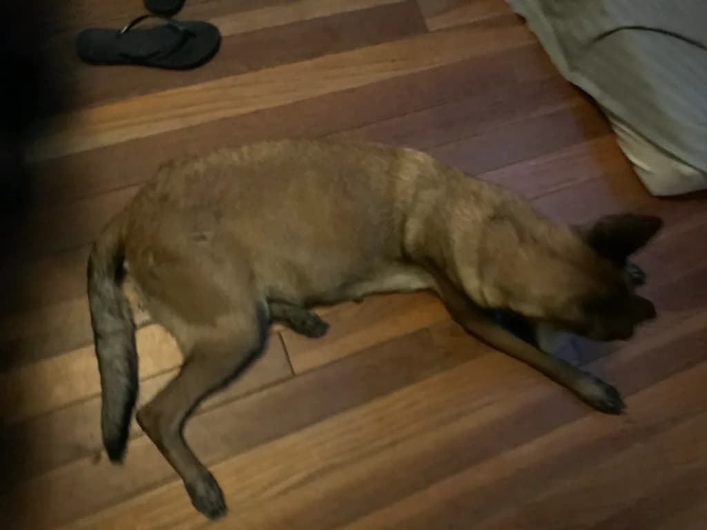 “B” Litter photo 8