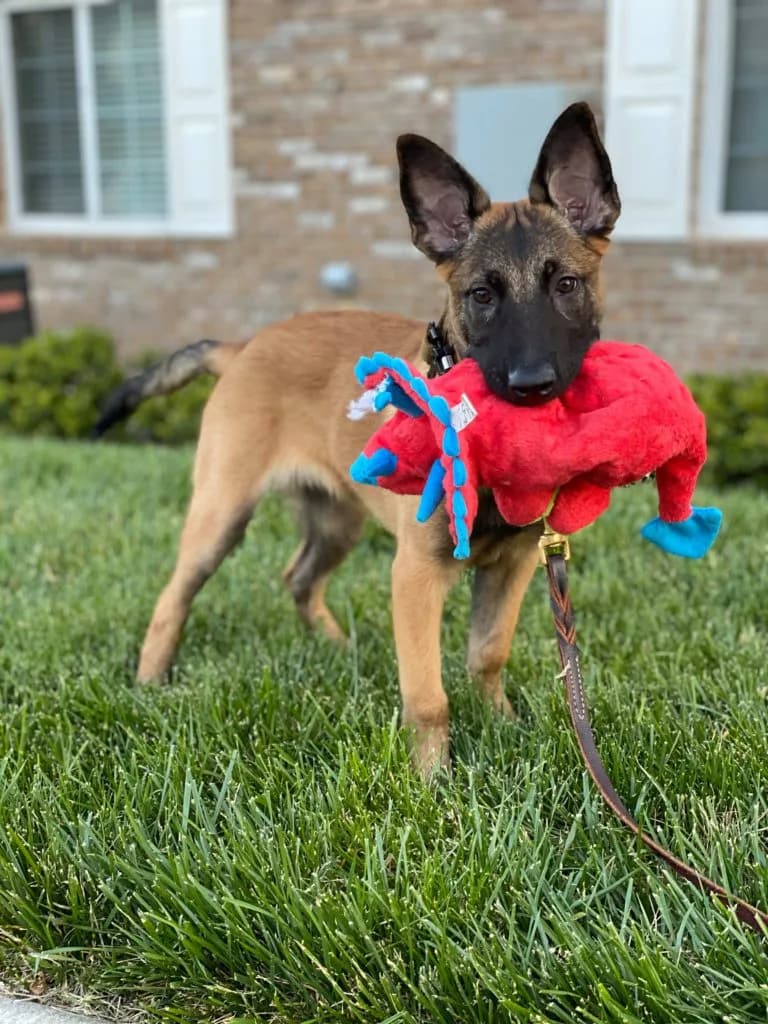 “B” Litter photo 406