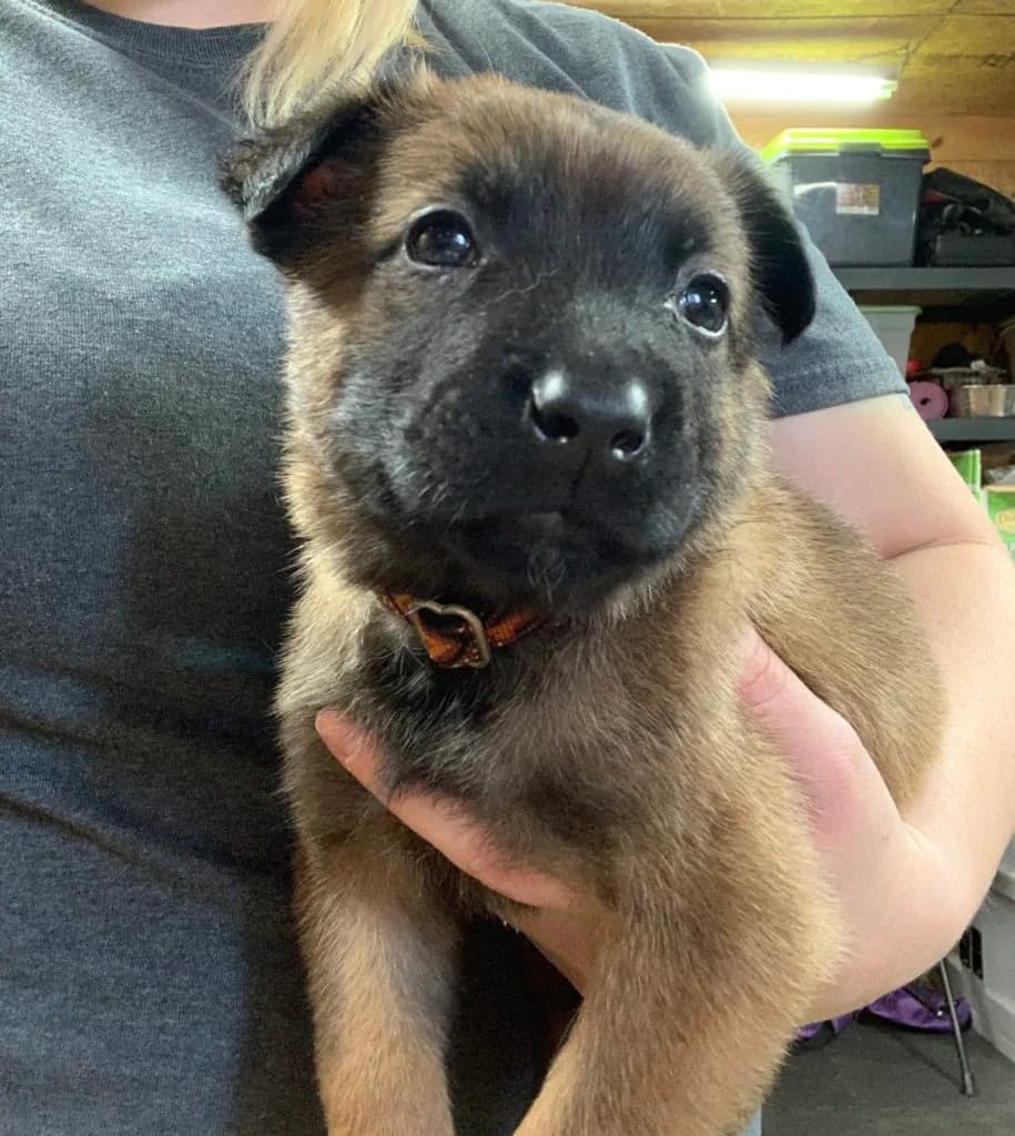 “B” Litter photo 94
