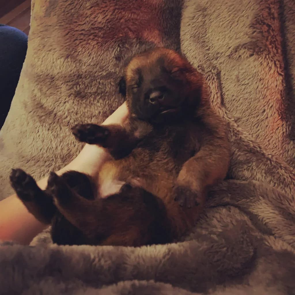 “B” Litter photo 20