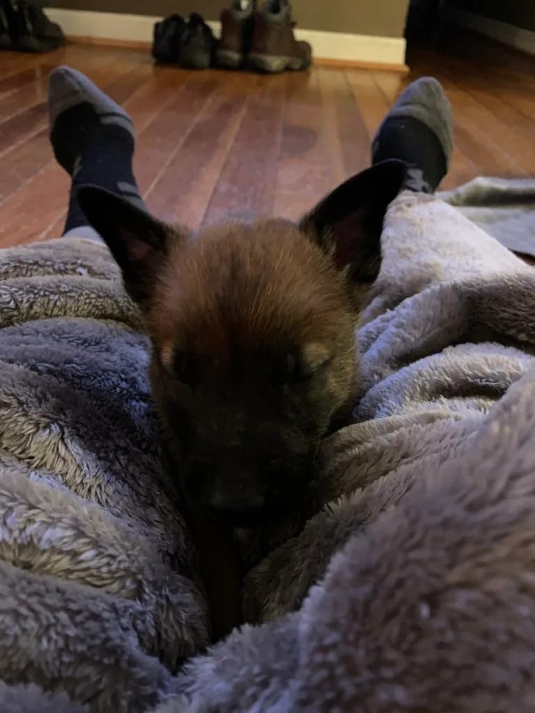 “B” Litter photo 143