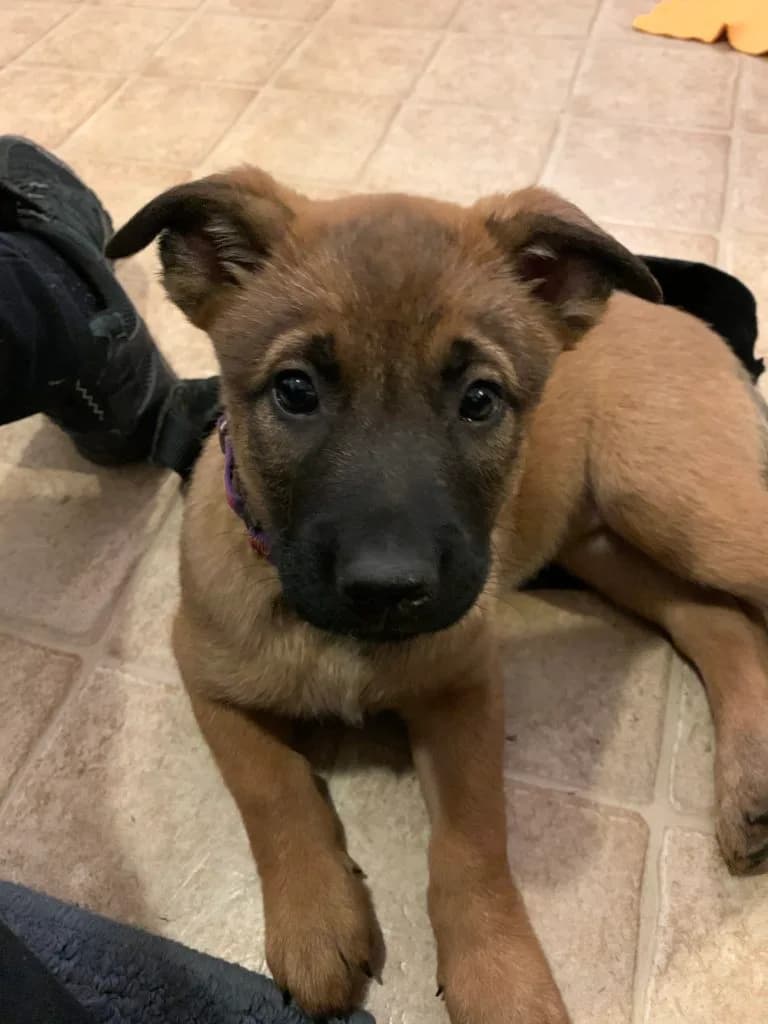 “B” Litter photo 178