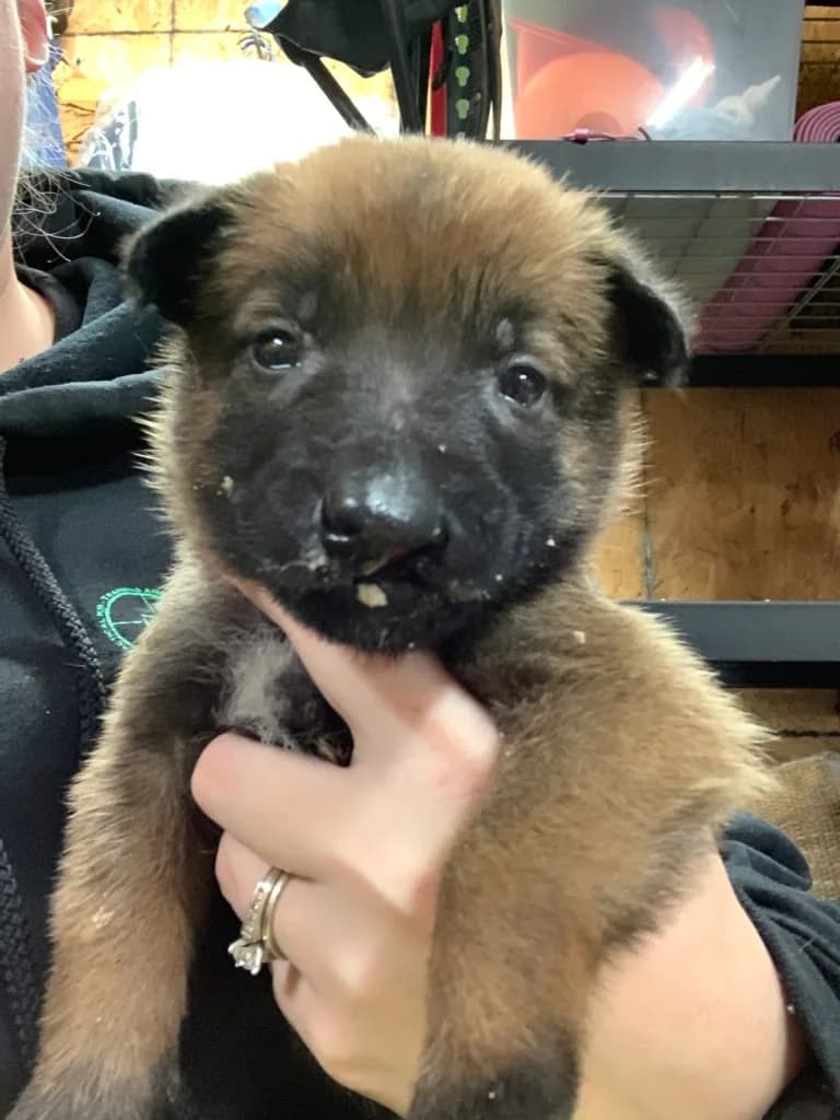 “B” Litter photo 89