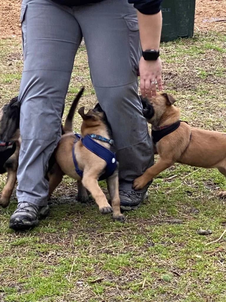 “B” Litter photo 160
