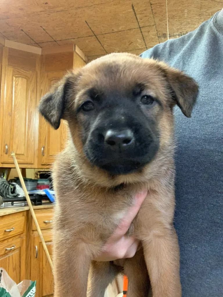 “B” Litter photo 101