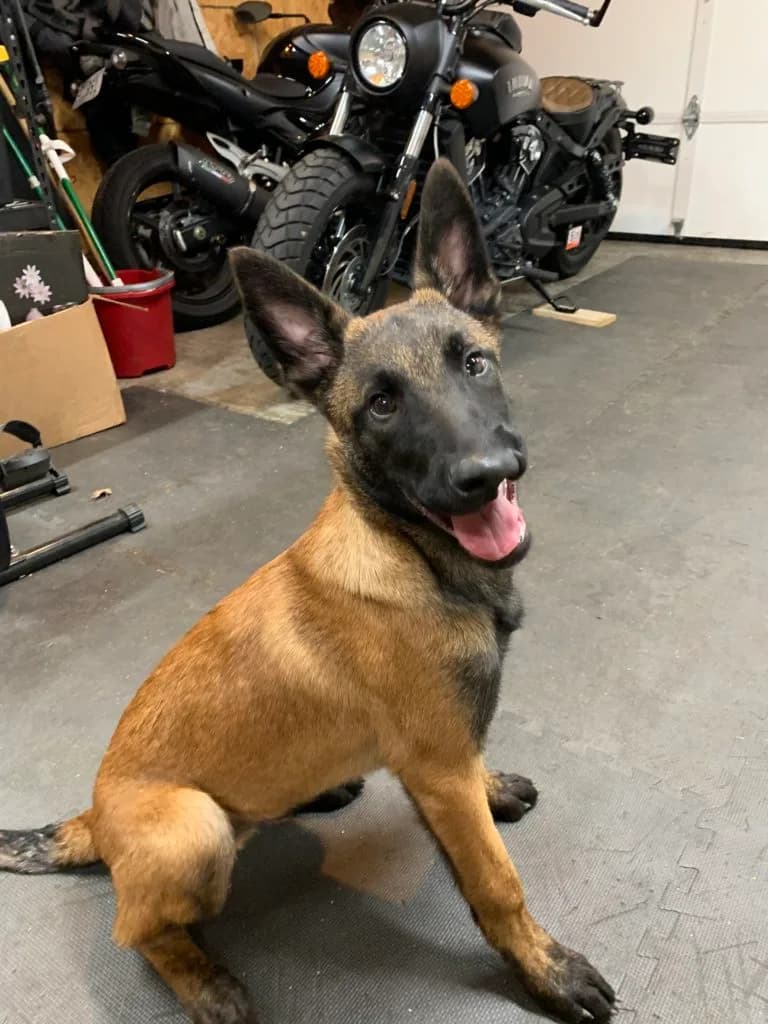 “B” Litter photo 407