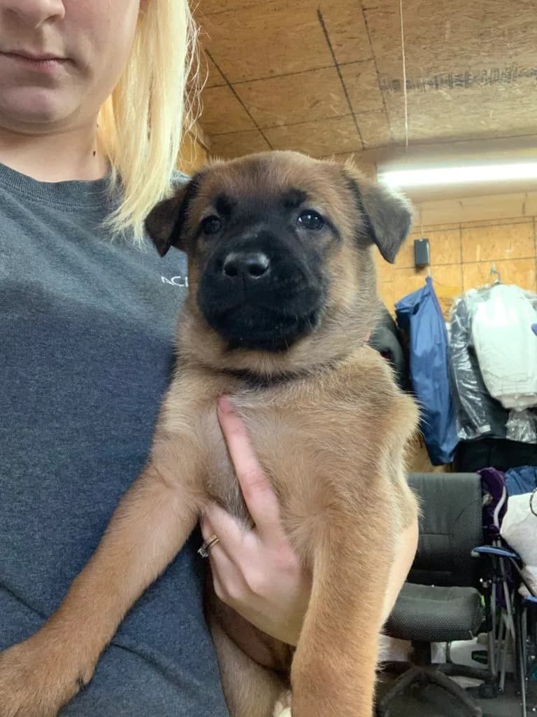 “B” Litter photo 99