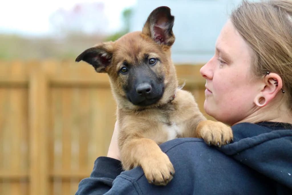 “B” Litter photo 210