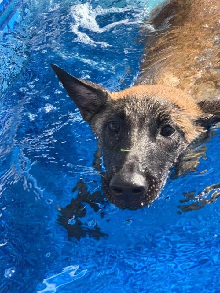 “B” Litter photo 414