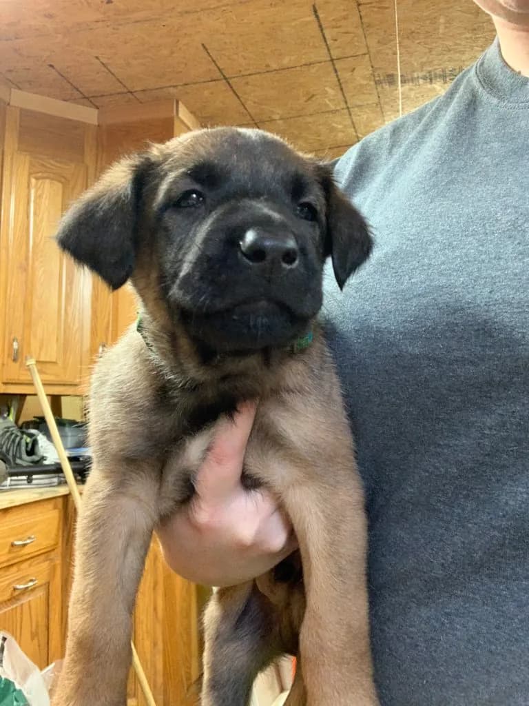 “B” Litter photo 97