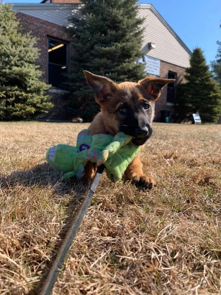 “B” Litter photo 284