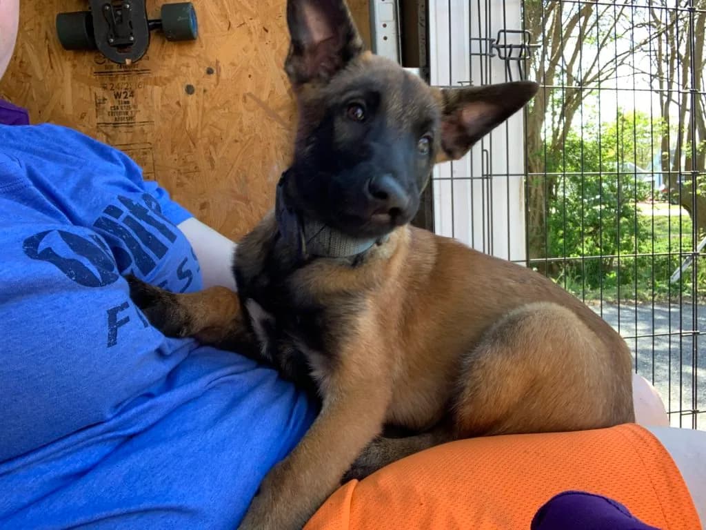 “B” Litter photo 352