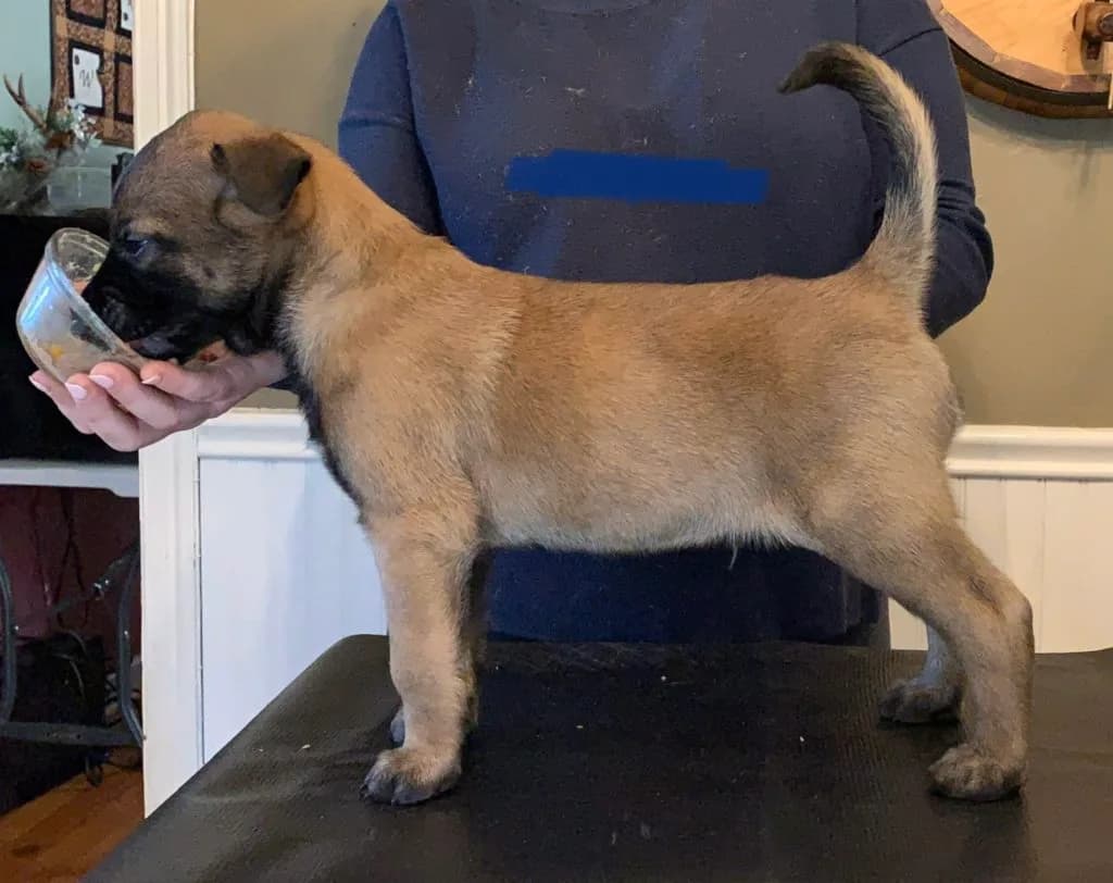 “B” Litter photo 124