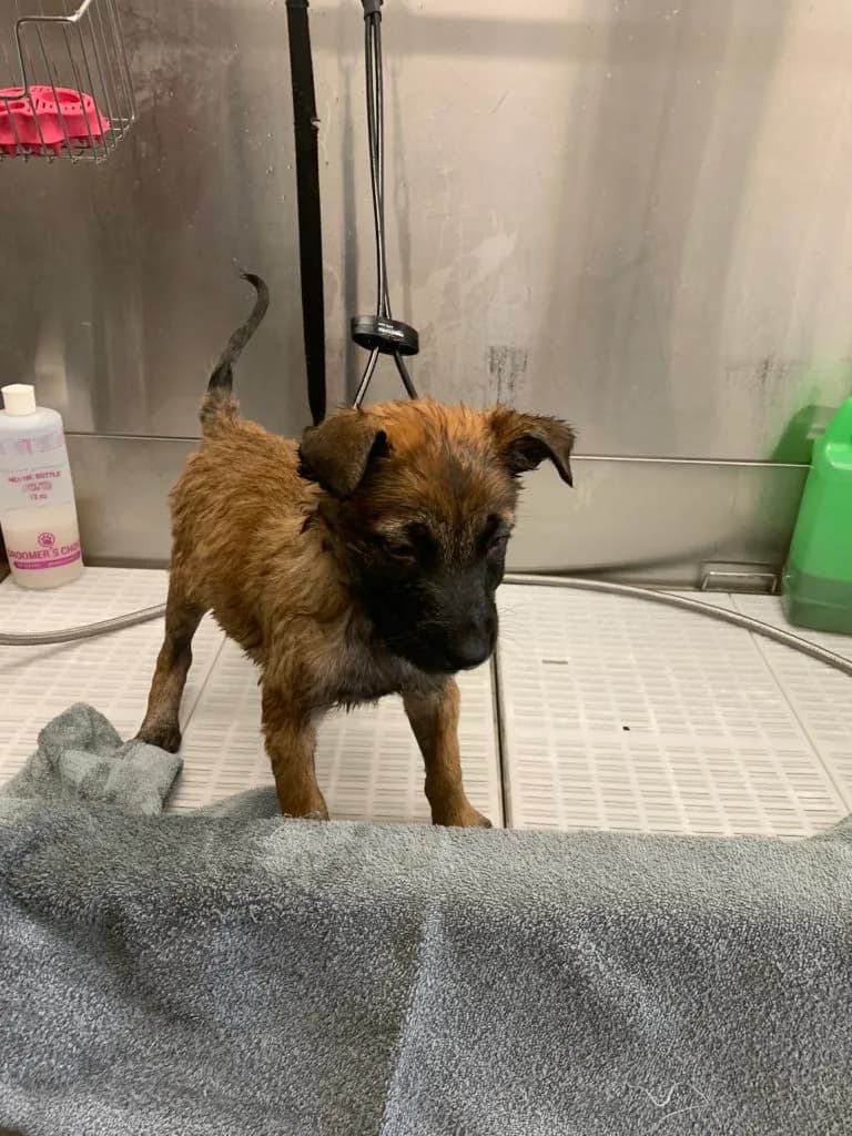 “B” Litter photo 255