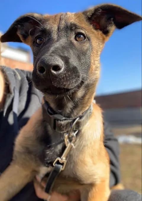 “B” Litter photo 315