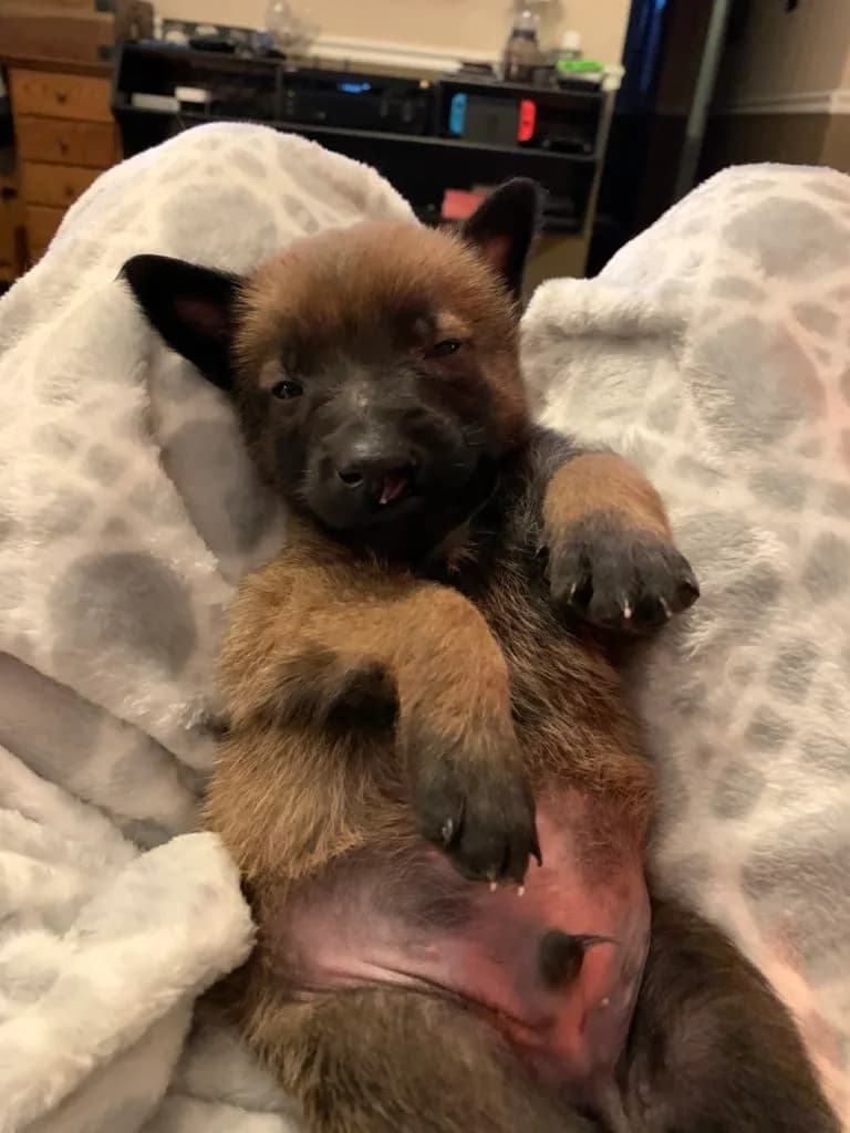“B” Litter photo 110