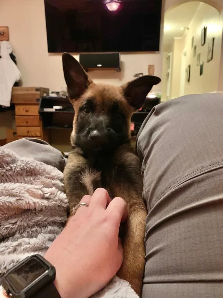 “B” Litter photo 285