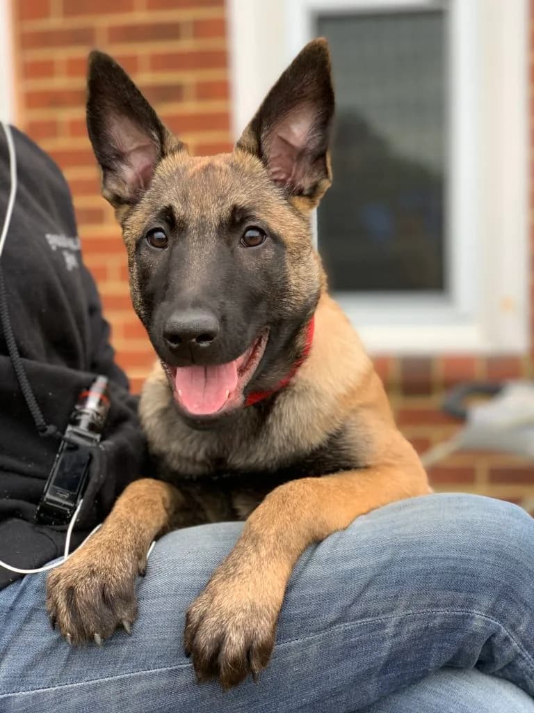“B” Litter photo 378