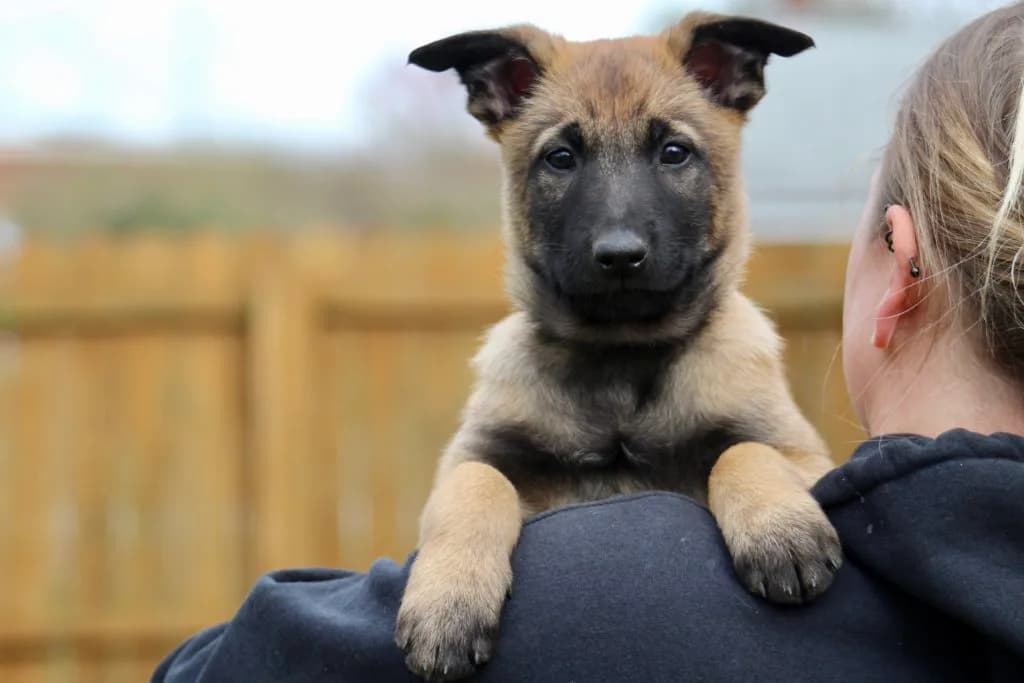 “B” Litter photo 206