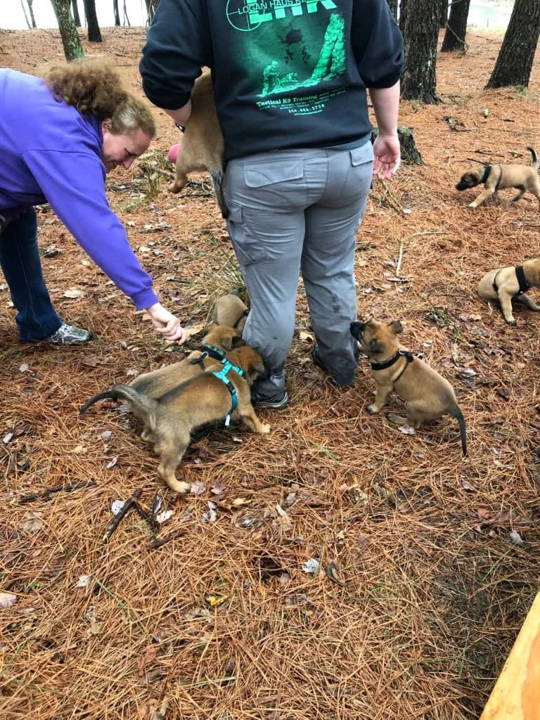 “B” Litter photo 149