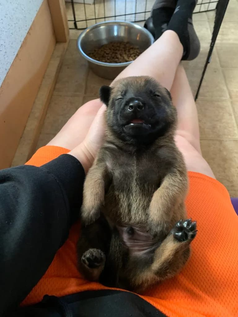 “B” Litter photo 26