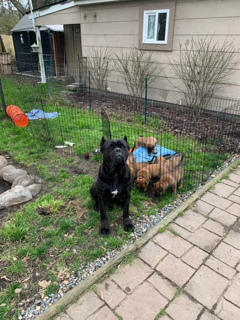“B” Litter photo 136