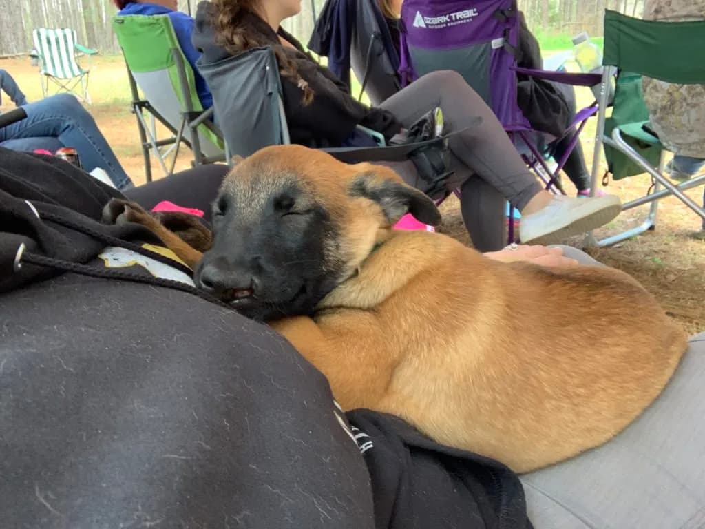 “B” Litter photo 289