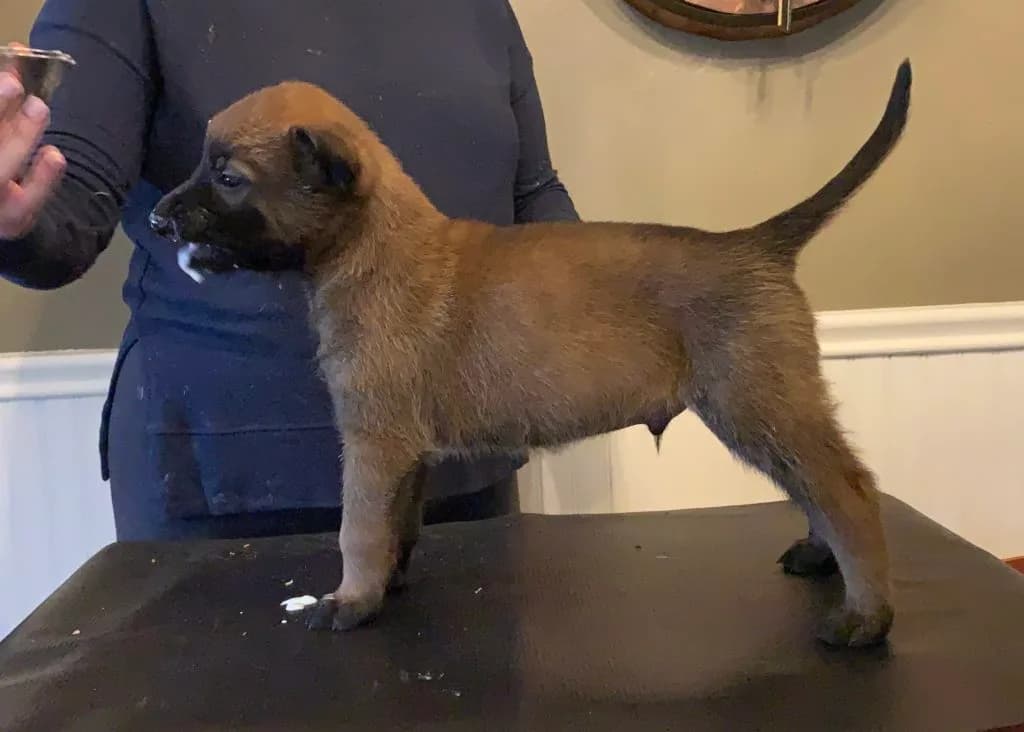 “B” Litter photo 132