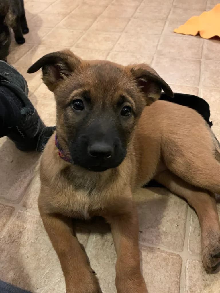 “B” Litter photo 168