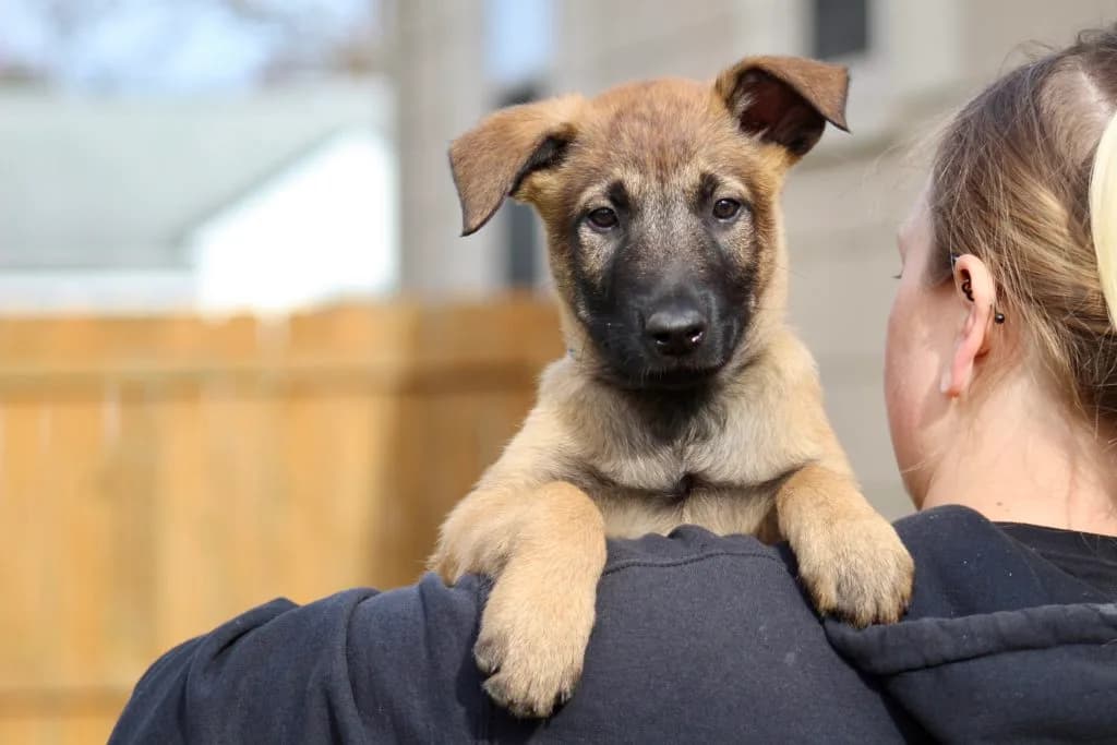 “B” Litter photo 246