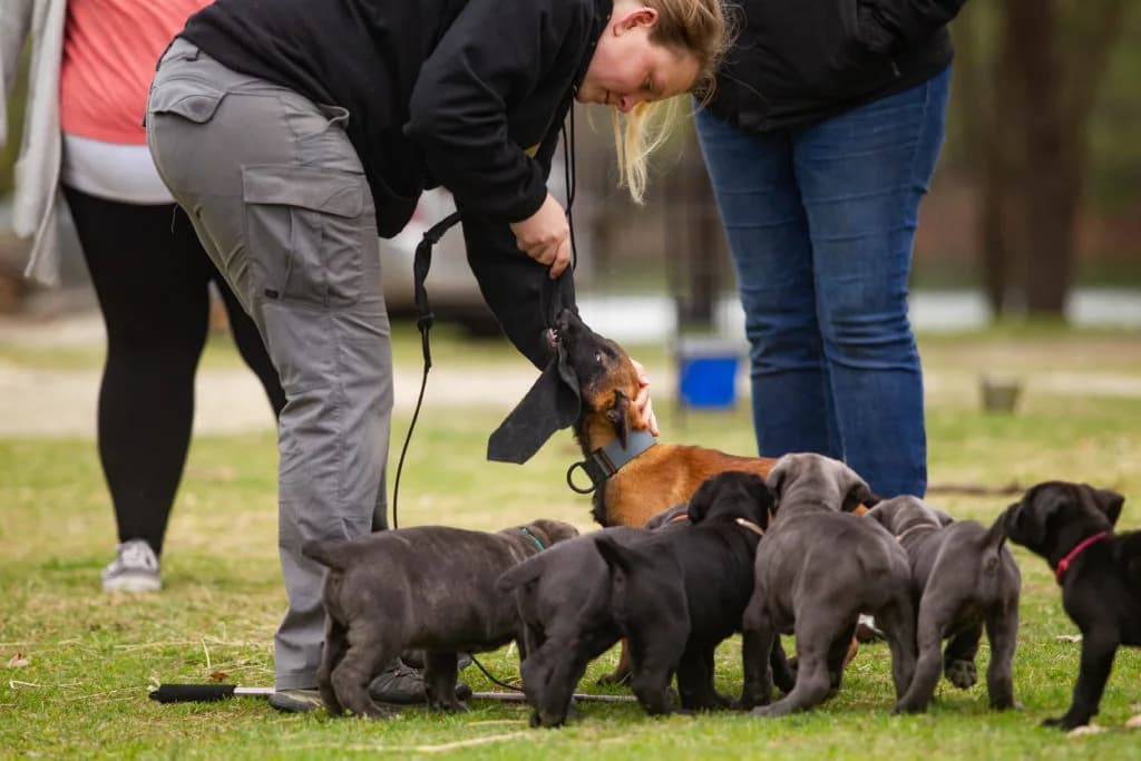 “B” Litter photo 337