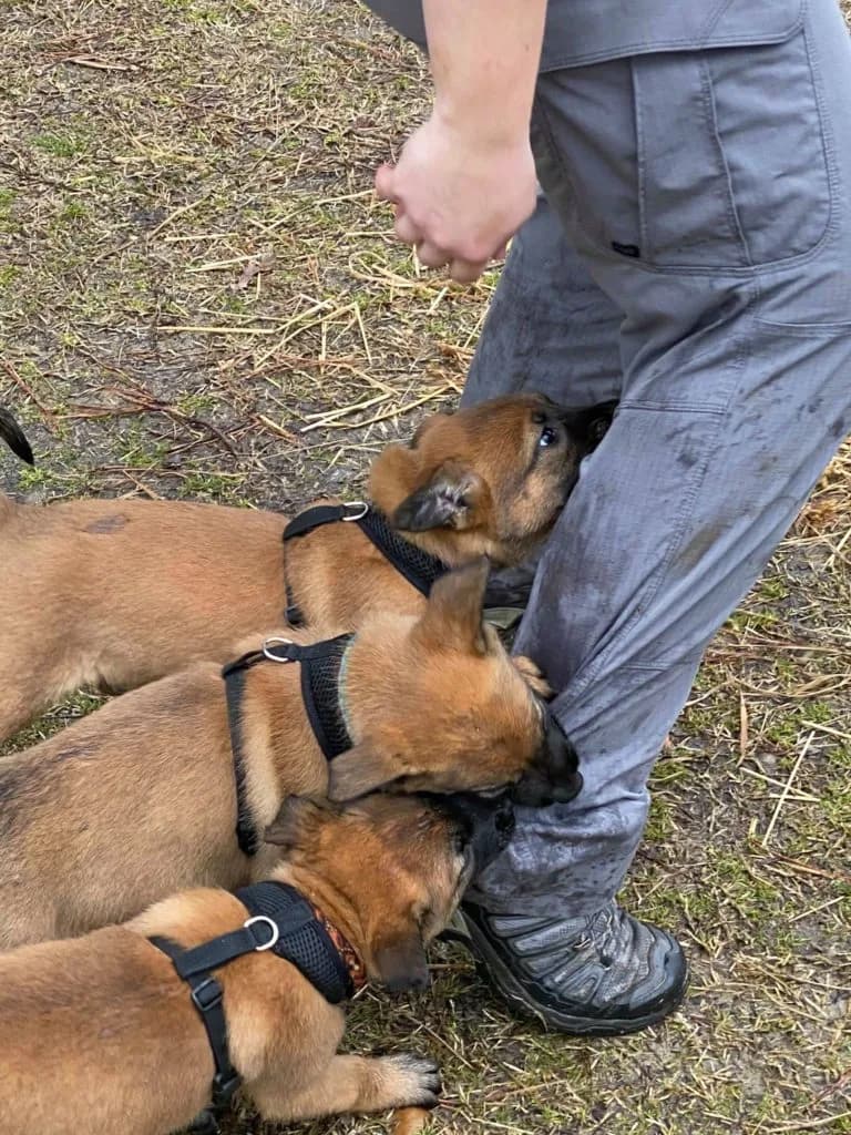 “B” Litter photo 159