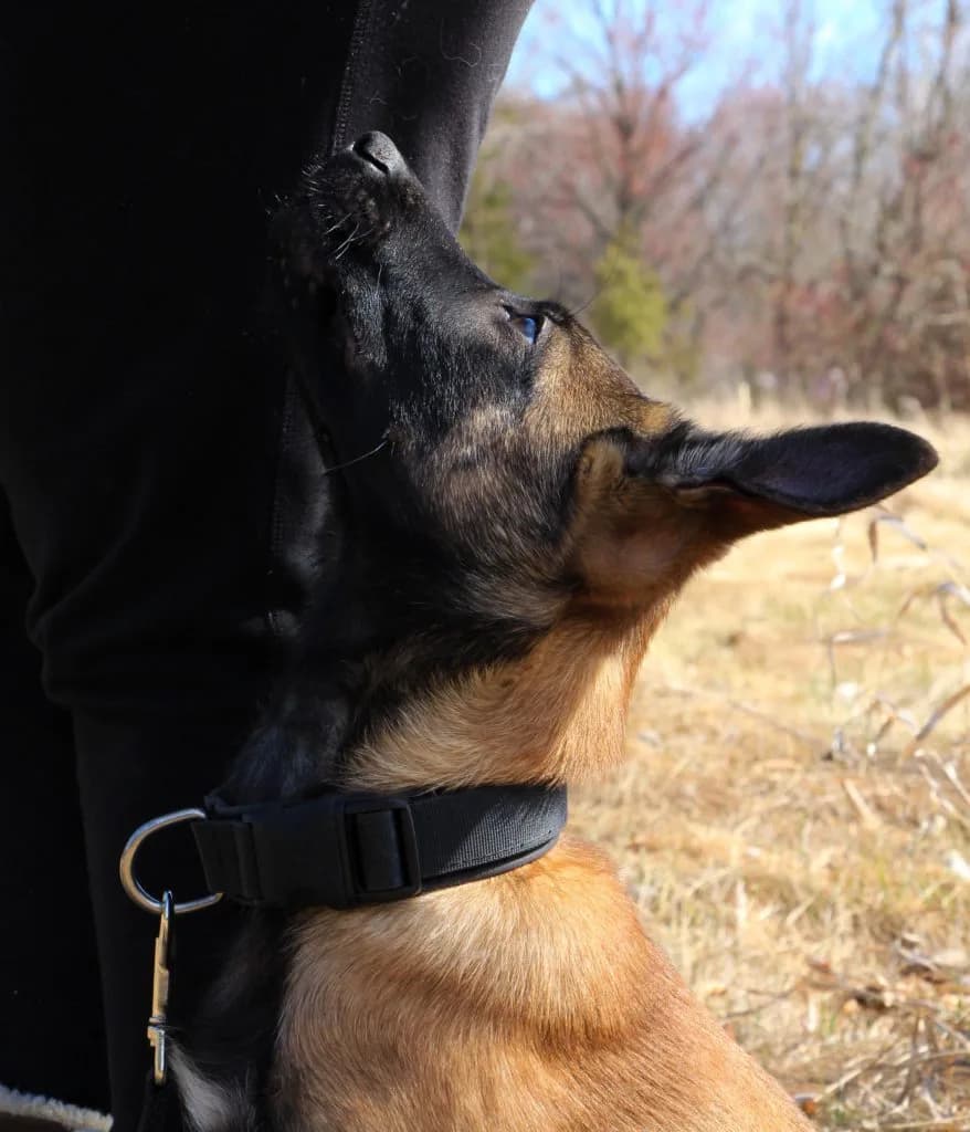 “B” Litter photo 363