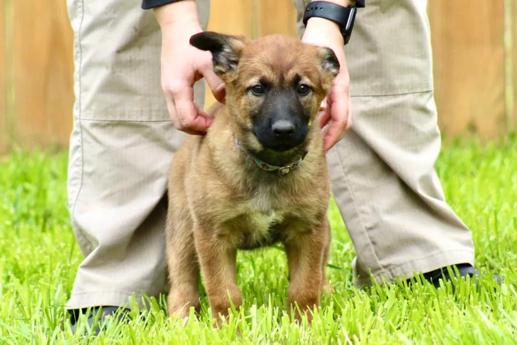 “B” Litter photo 209