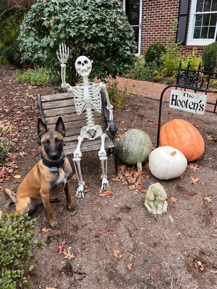 “C” Litter photo 16